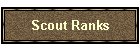 Scout Ranks