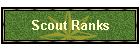 Scout Ranks