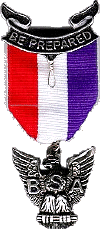 Eagle Scout Medal Pin