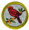 birstu