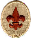 Scout Rank