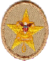 Star Scout Rank